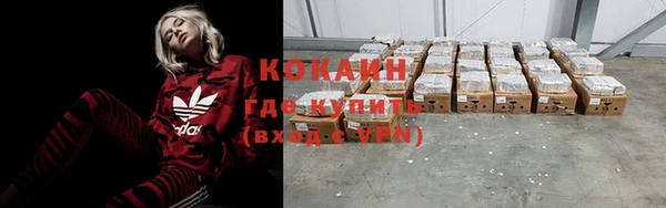 сатива Ладушкин