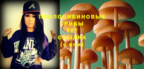 альфа пвп Лабытнанги
