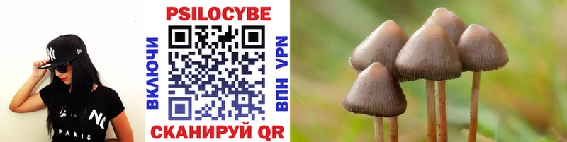 Галлюциногенные грибы Magic Shrooms  mega маркетплейс  Томмот  купить наркоту 